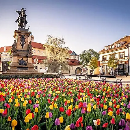 Zámeček 4* Poděbrady